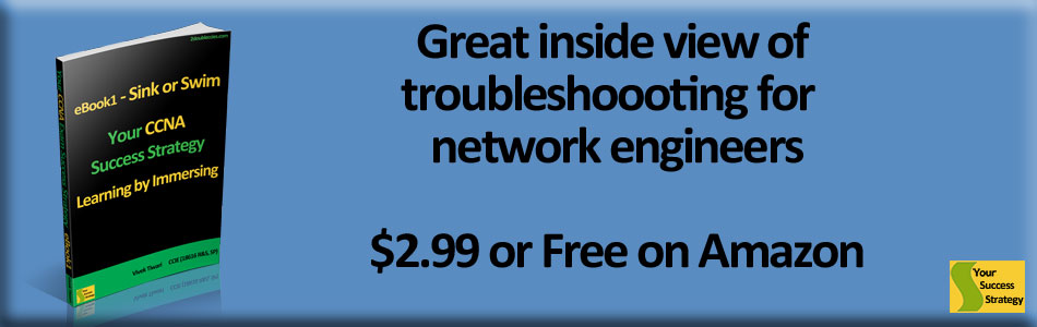 your ccna success strategy learning by immersing ebook1 sink or swim